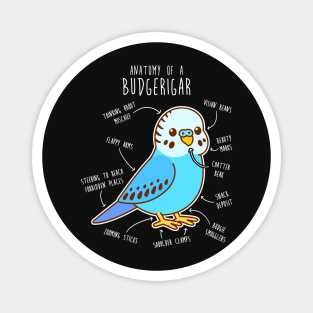 Blue Budgie Anatomy Magnet